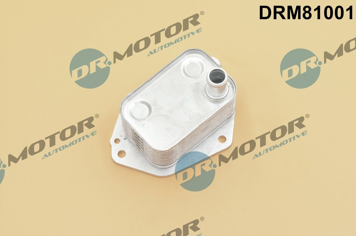 DRM81001 Dr.motor